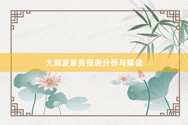 大润发家务报表分析与解读